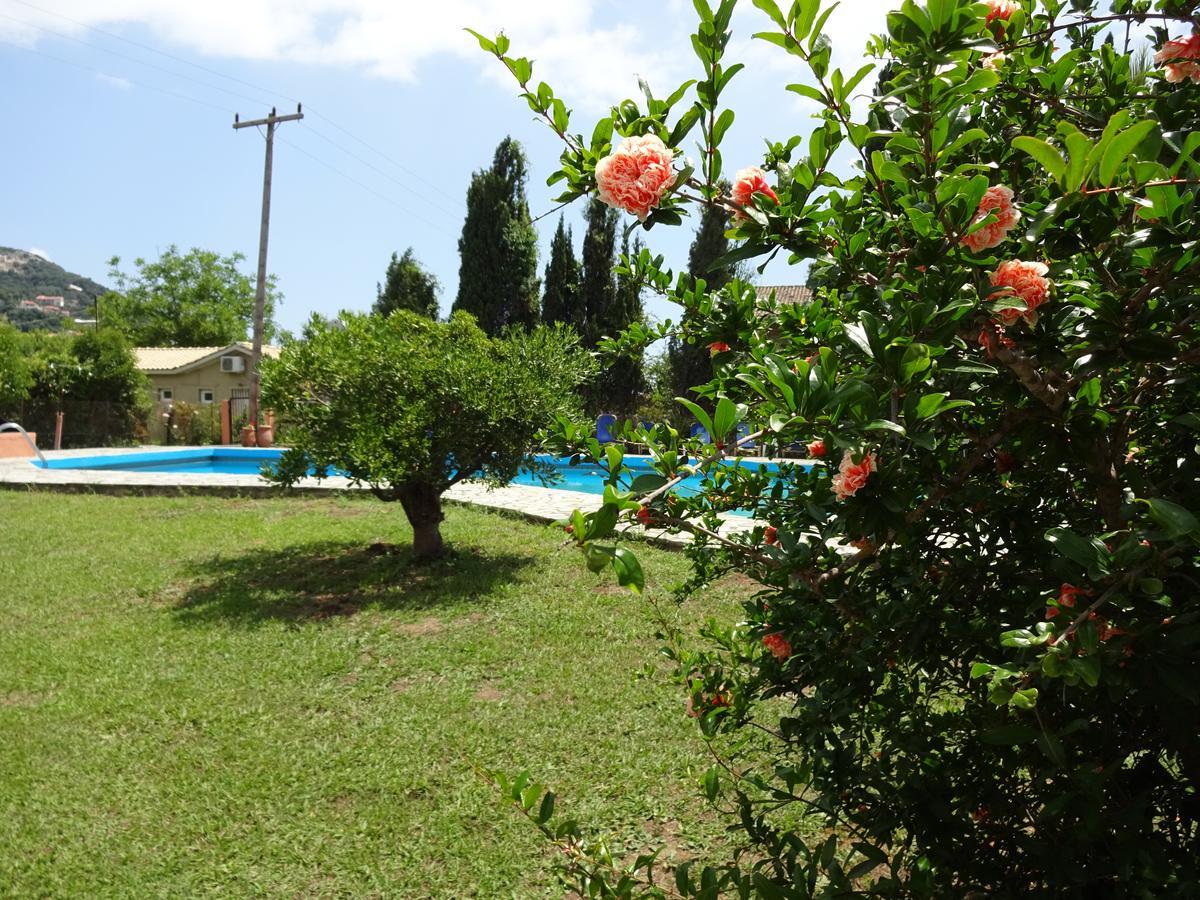 איפסוס Apollo Studios מראה חיצוני תמונה